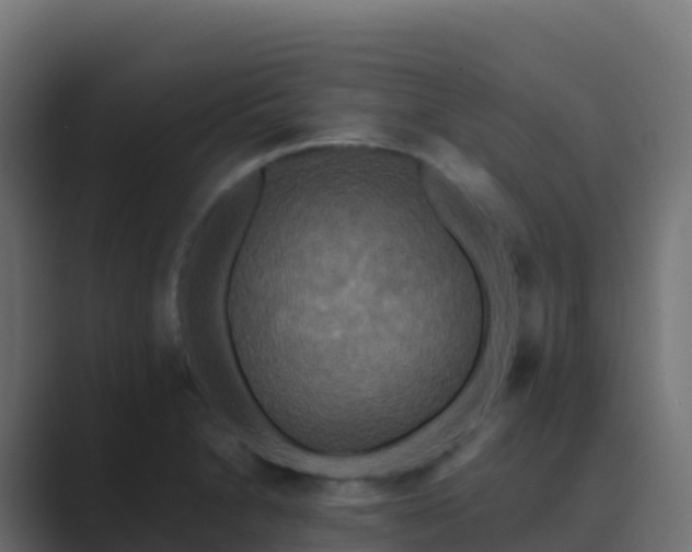 X0000089731230200706281543
