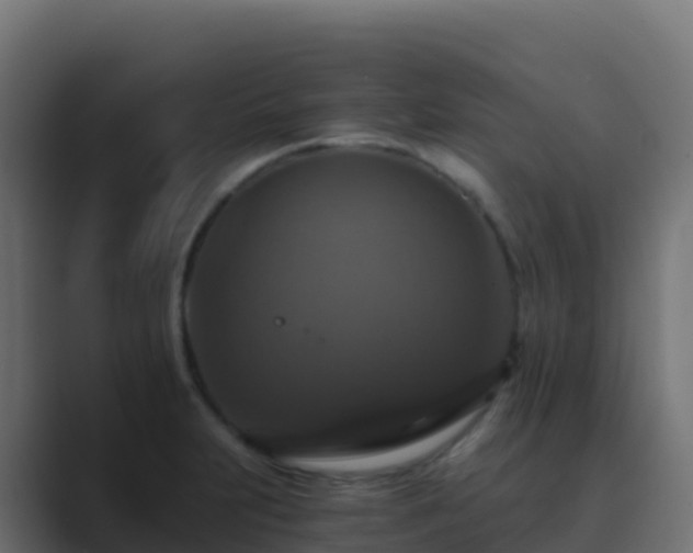 X0000089731231200706281543
