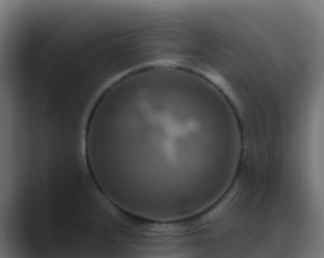 X0000089731232200706281543