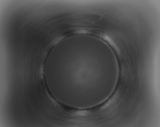 X0000089731233200706281543