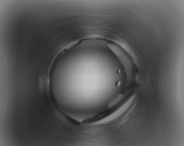X0000089731234200706281543