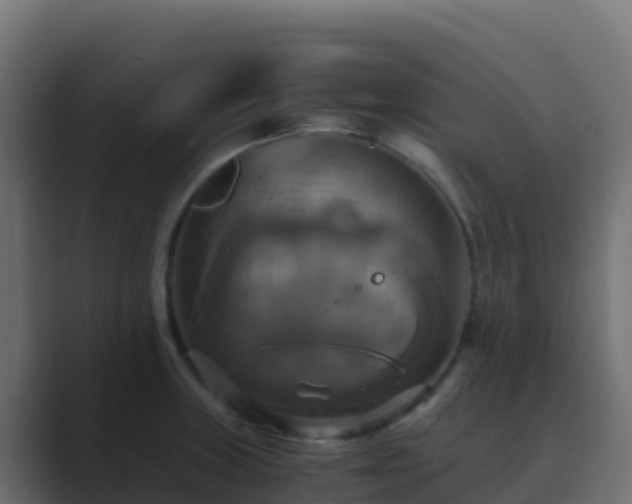 X0000089731235200706281543