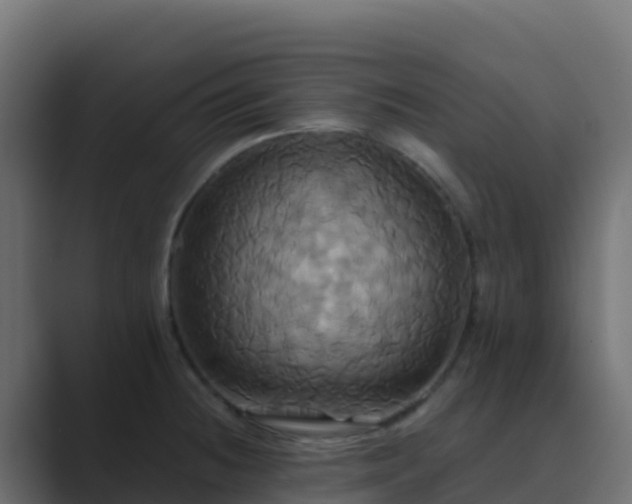 X0000089731236200706281543