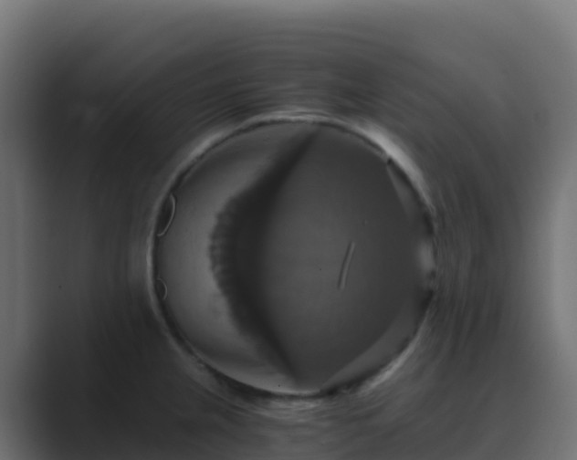 X0000089731237200706281543
