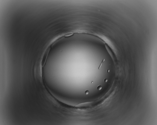 X0000089731238200706281543
