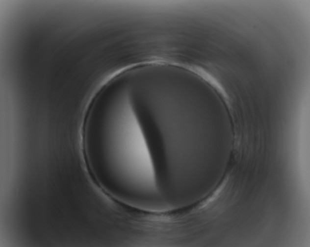 X0000089731239200706281543