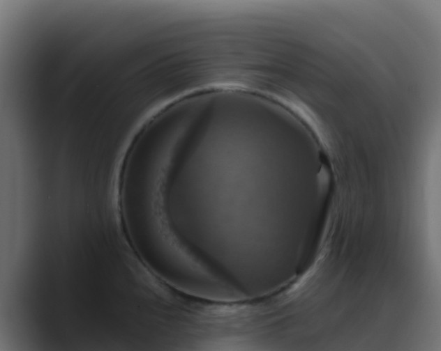 X0000089731240200706281543