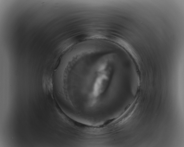 X0000089731241200706281543