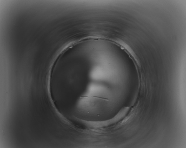 X0000089731245200706281543