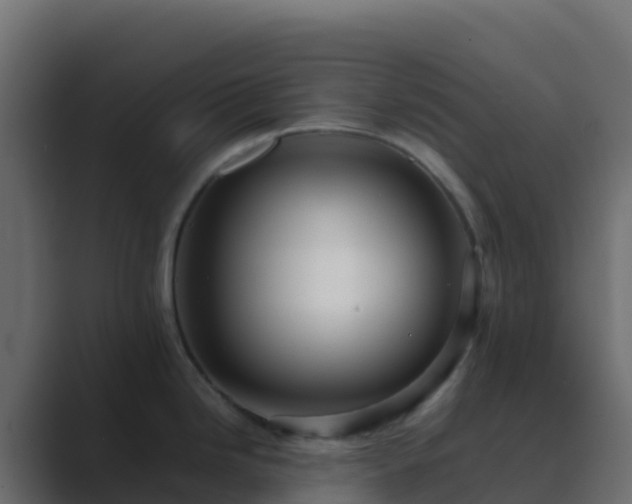 X0000089731246200706281543