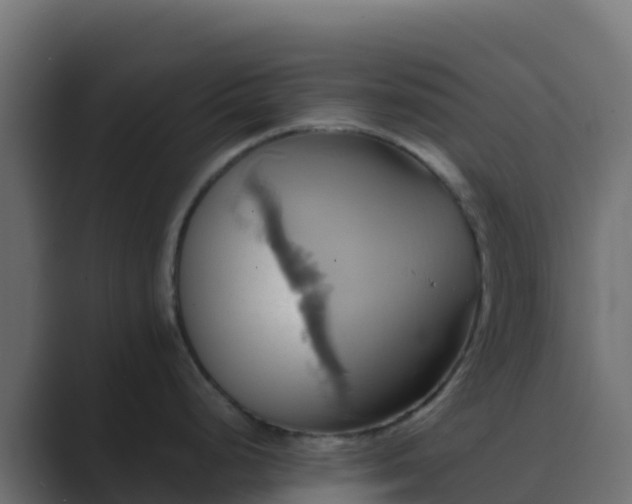 X0000089731248200706281543