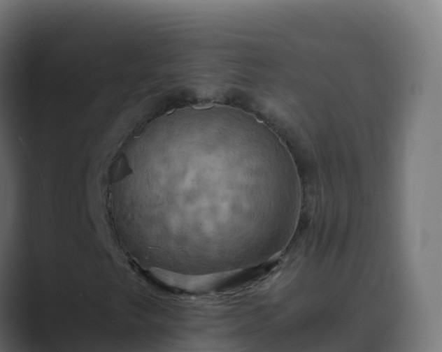 X0000089731249200706281543