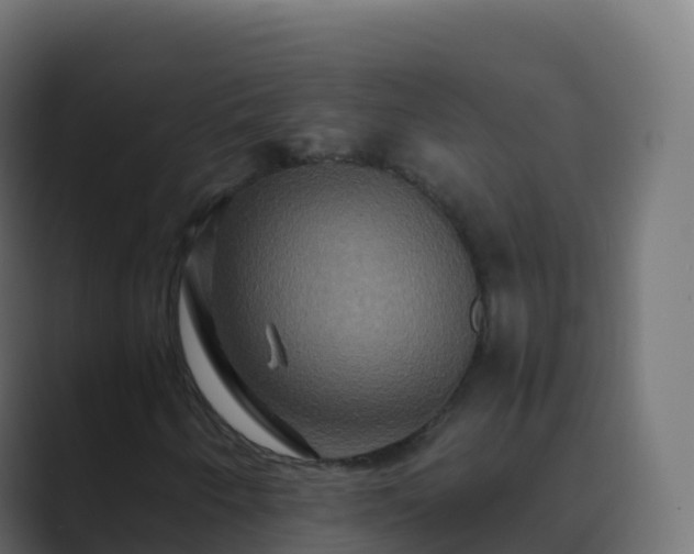 X0000089731250200706281543