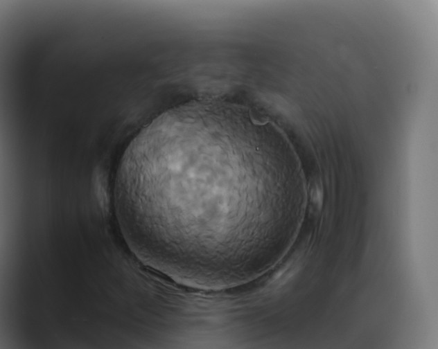 X0000089731252200706281543