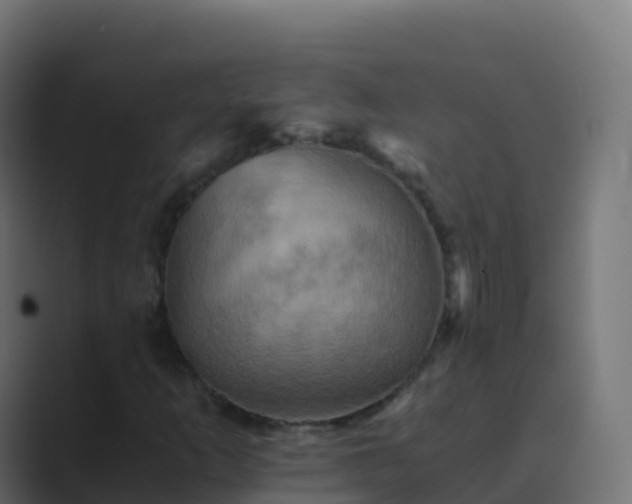 X0000089731253200706281543
