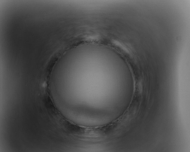 X0000089731254200706281543
