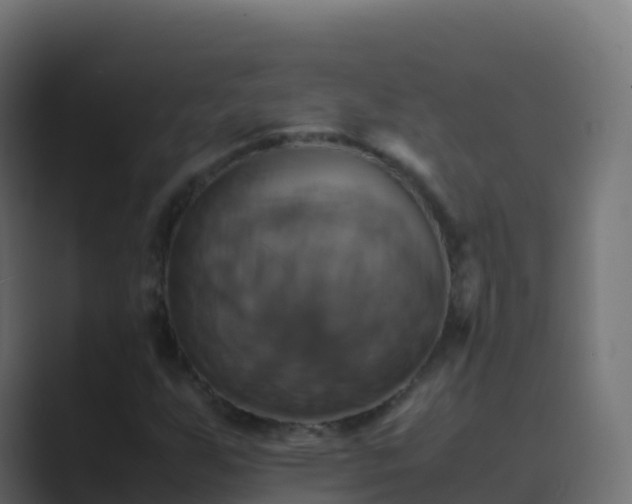 X0000089731255200706281543