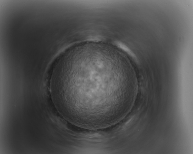 X0000089731256200706281543