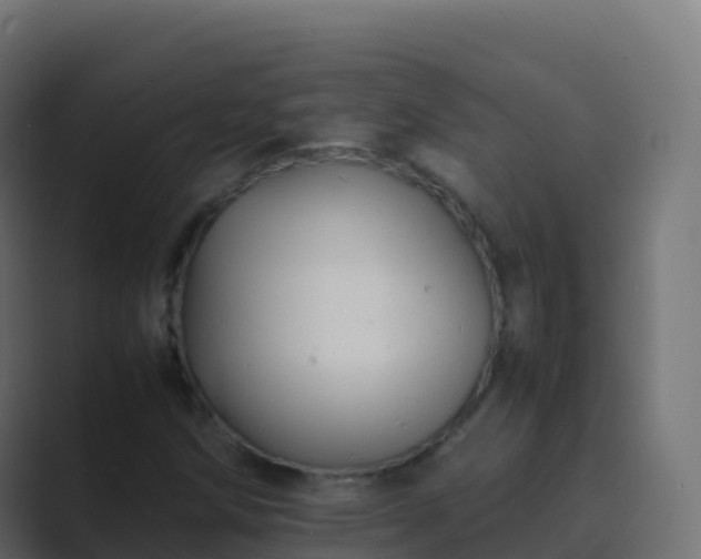 X0000089731258200706281542