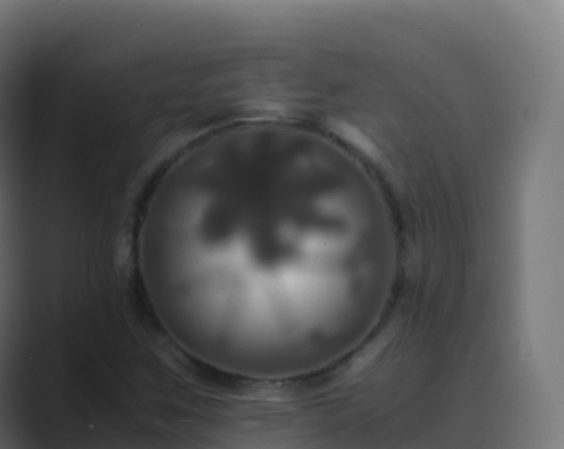 X0000089731259200706281542