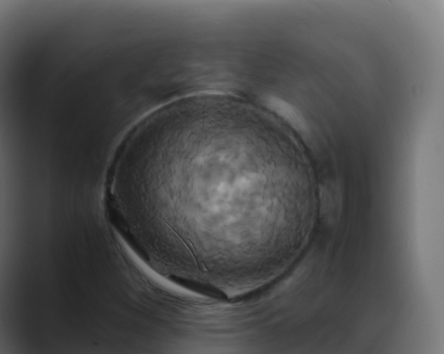 X0000089731260200706281542