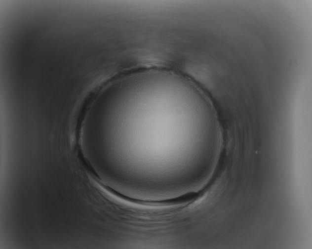 X0000089731261200706281542