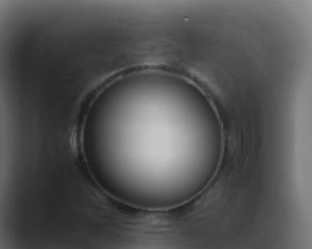 X0000089731262200706281542