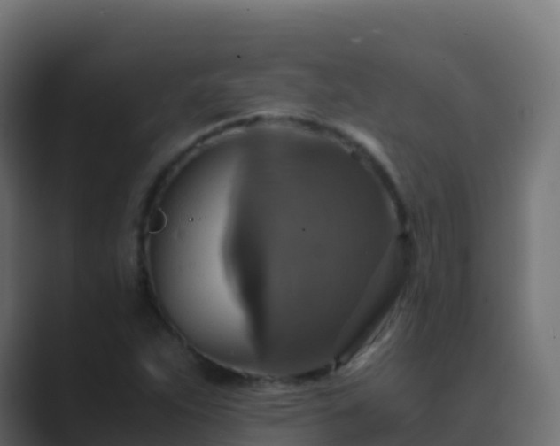 X0000089731263200706281542