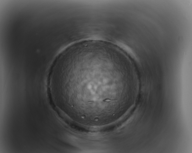 X0000089731264200706281542