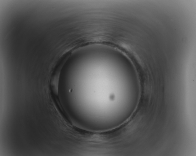X0000089731265200706281542