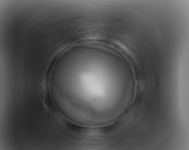 X0000089731266200706281542
