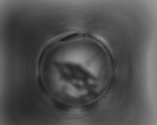 X0000089731267200706281542