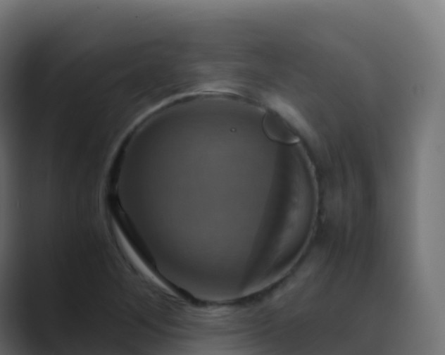 X0000089731268200706281542