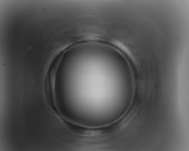 X0000089731269200706281542