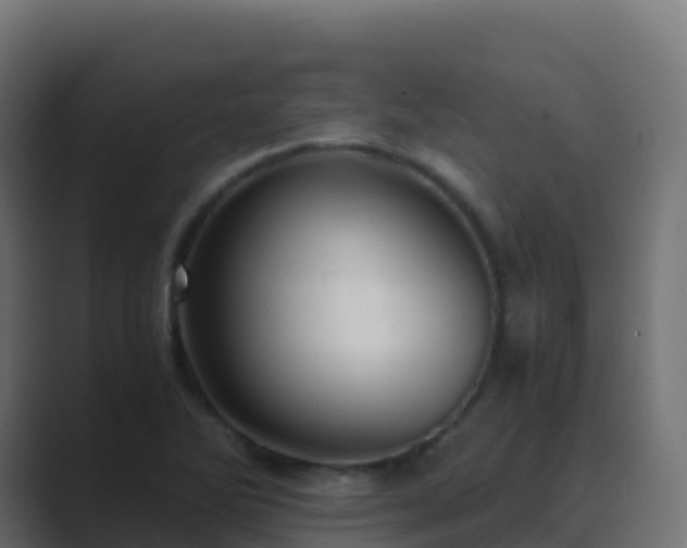 X0000089731270200706281542