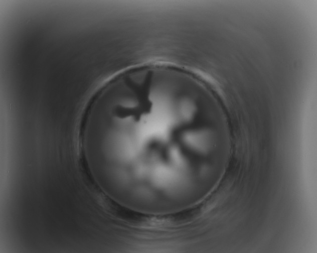 X0000089731271200706281542