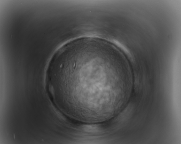 X0000089731272200706281542