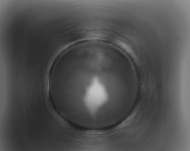 X0000089731275200706281542