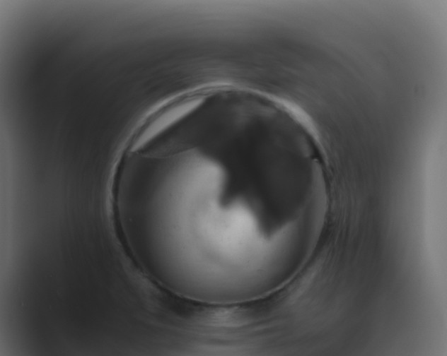 X0000089731279200706281542