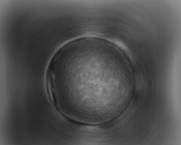 X0000089731280200706281542