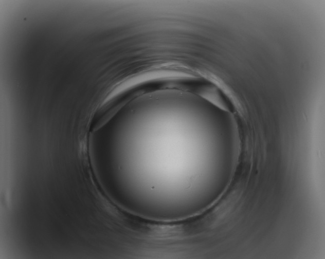 X0000089731281200706281542