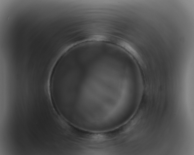 X0000089731283200706281542