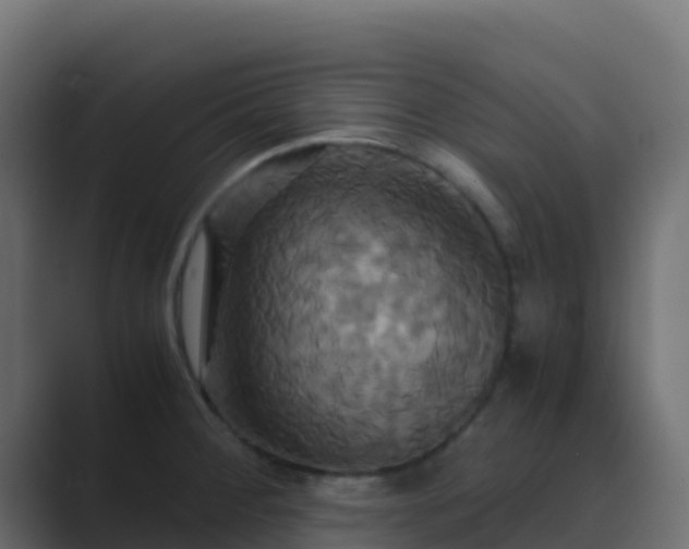 X0000089731284200706281542