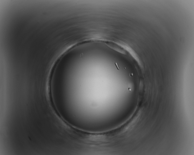 X0000089731285200706281542