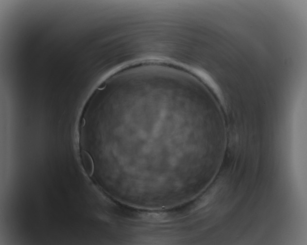 X0000089731287200706281542