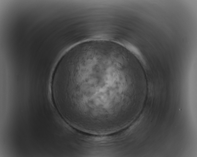 X0000089731288200706281542