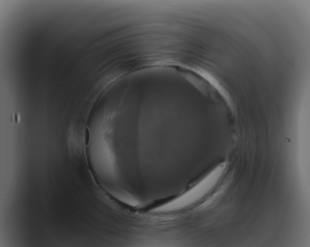 X0000089731289200706281542