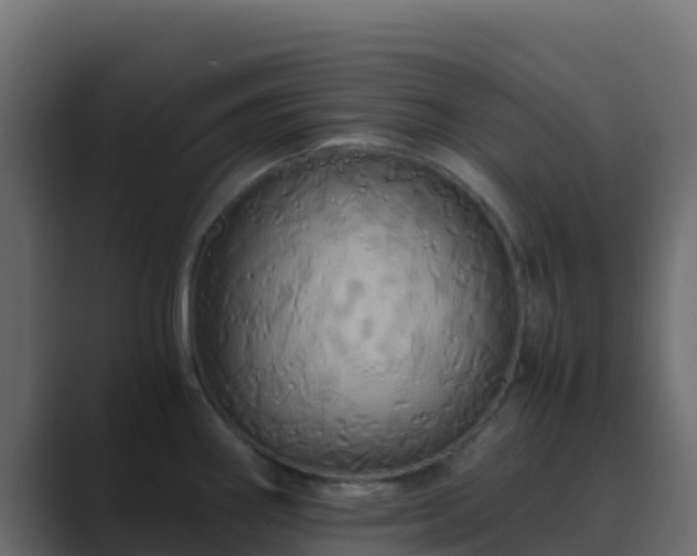 X0000089731290200706281542