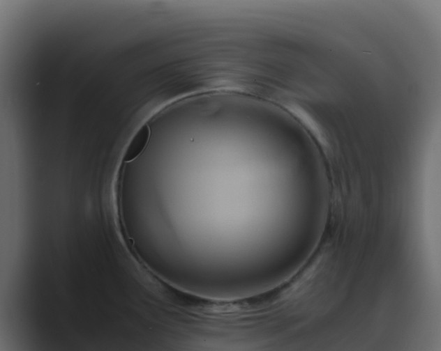 X0000089731291200706281542