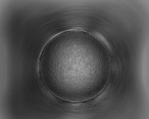 X0000089731292200706281542